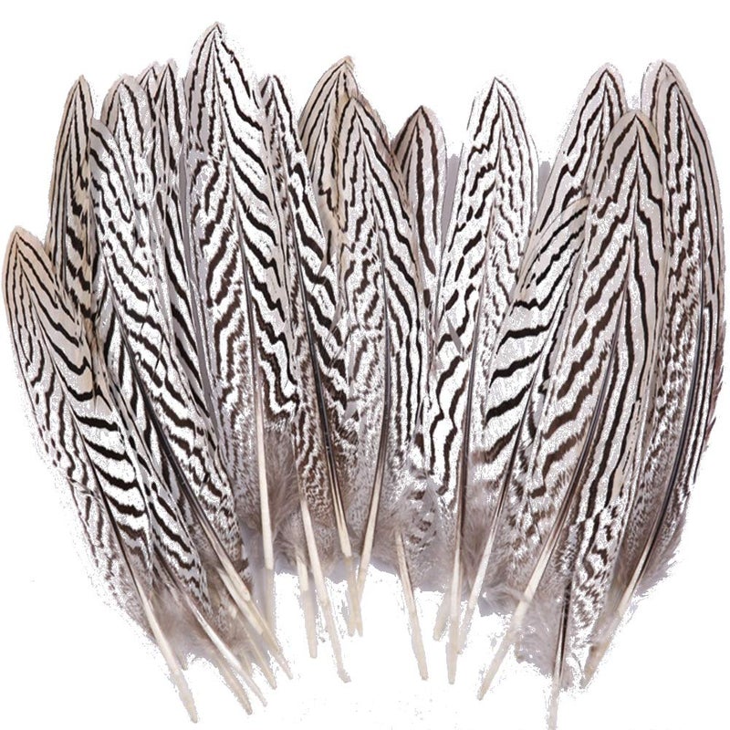 Sowder 10pcs Silver Pheasant Plumage Feathers 7-10 Inches Home Wedding Decoration - Image 1